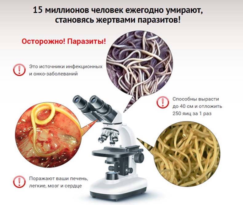 Вред гельминтов для организма