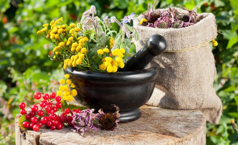 Сбор из целебных растений