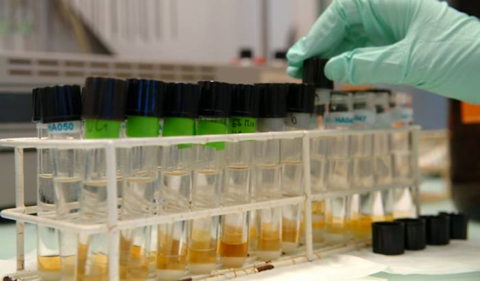 проверка кала