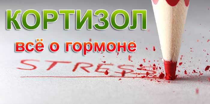 Кортизол