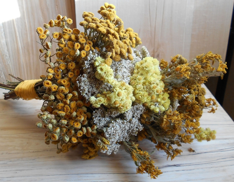 Целебные свойства пижмы