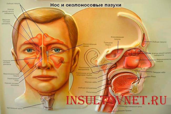 Капли в нос