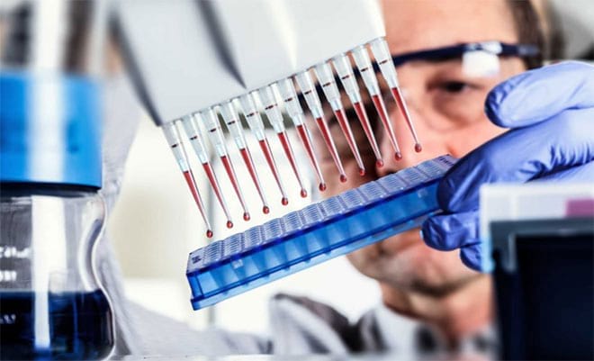 ИФА анализ крови