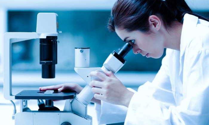 лабораторные исследования