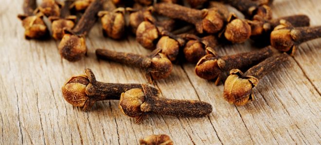 гвоздика сушеная от паразитов