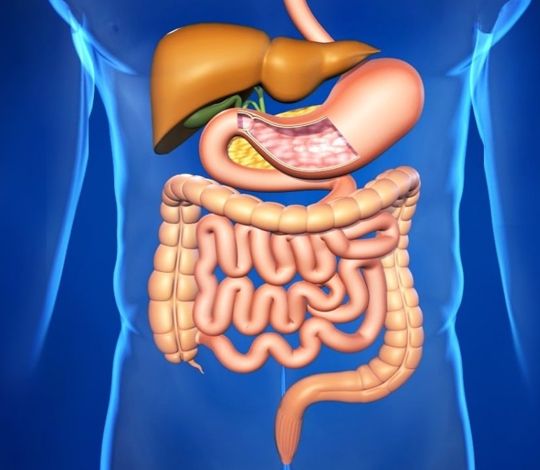Средства на основе чеснока могут нанести вред людям с больным ЖКТ