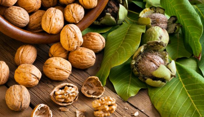 грецкие орехи