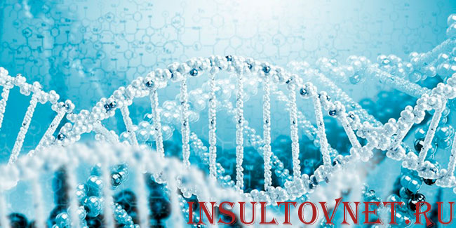 молекула ДНК