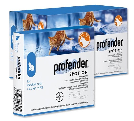 прател для котов