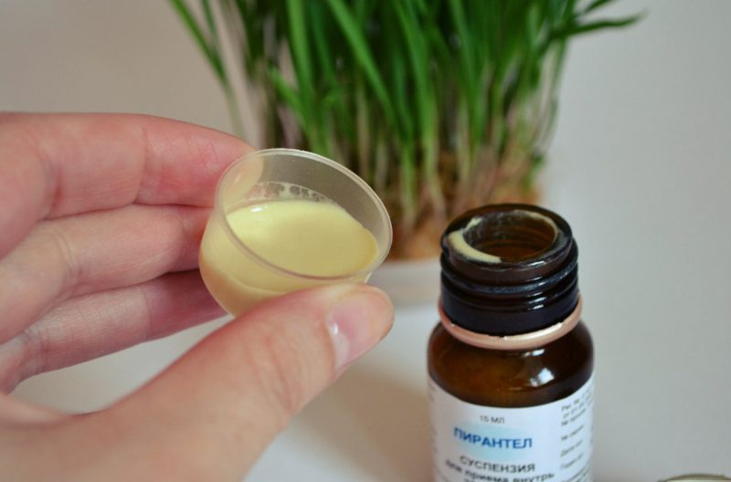 Пирантел дозировка