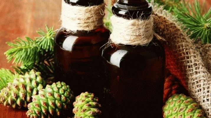 Лечимся настойкой еловых шишек