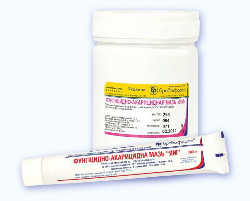 мазь Фунгицидно-акарицидная