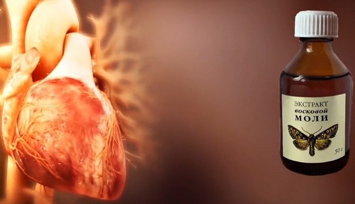 Как применяется экстракт восковой моли