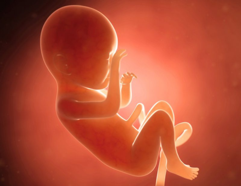 От матери к ребенку