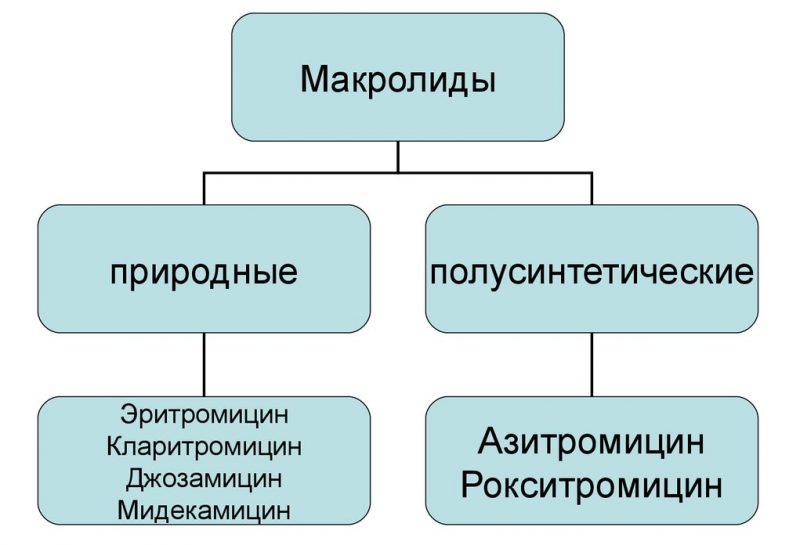 природные Макролиды от хламидоза