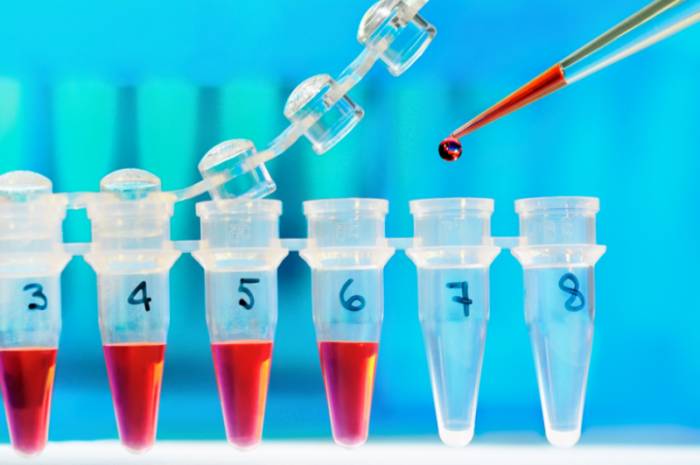 Полимеразная цепная реакция (ЦПР)