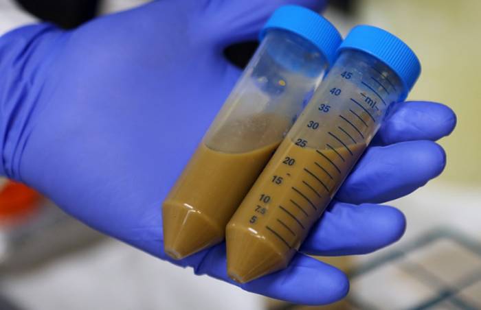 анализ кала