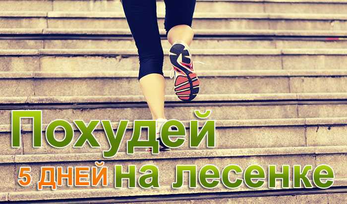 Диета Лесенка