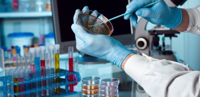 лабораторные исследования