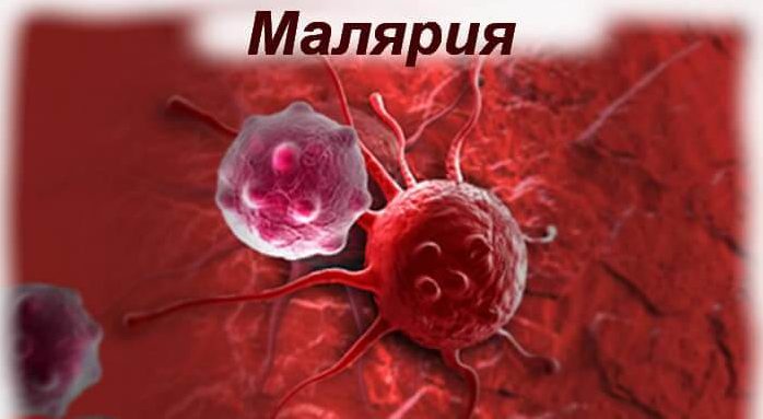 малярия