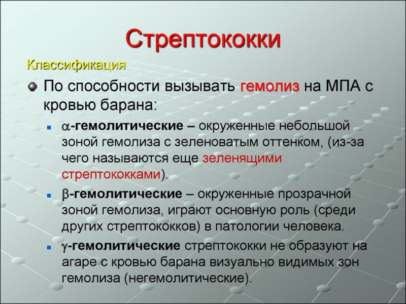 классификация стрептококков