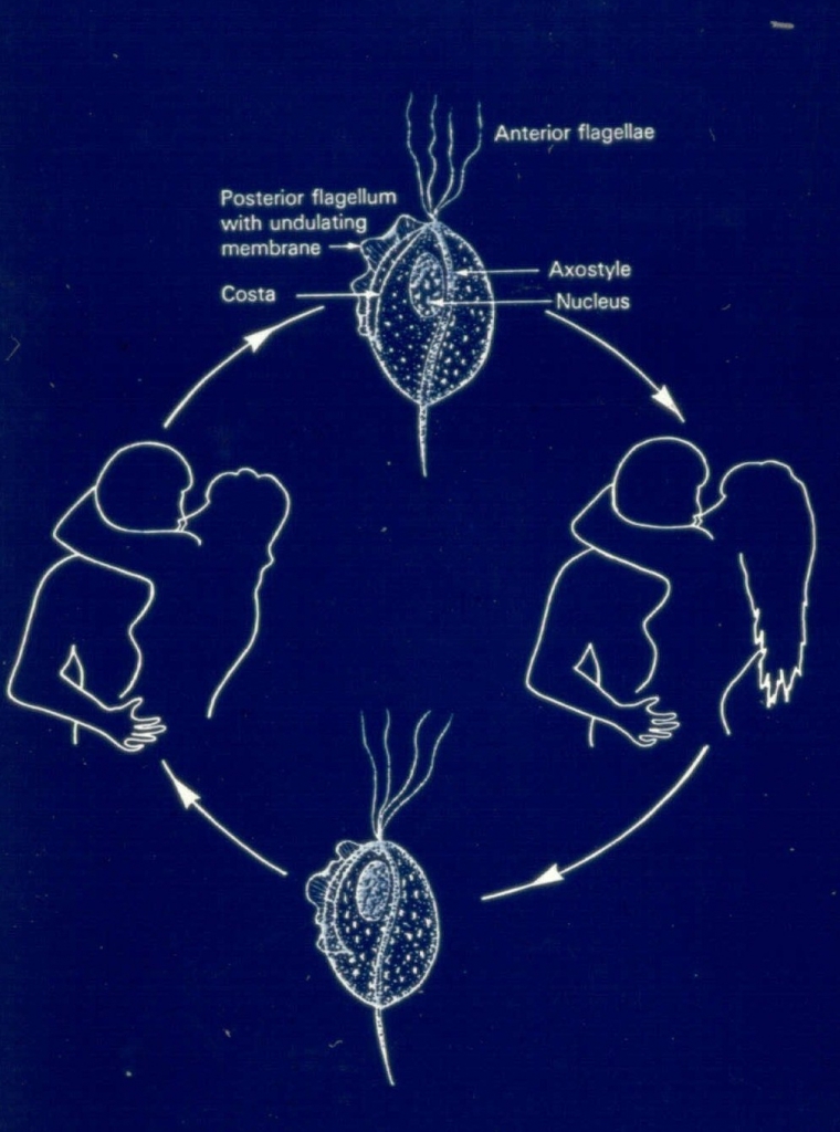 как передается инфекция