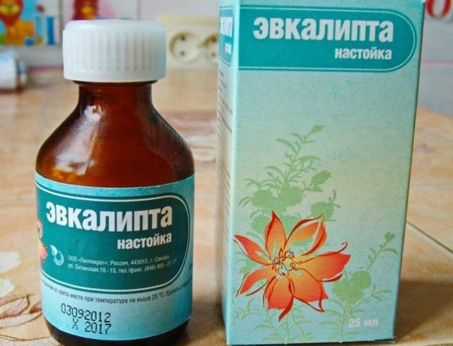 Настойка эвкалипта: от чего помогает, как полоскать горло и принимать