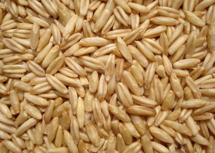 чистка организма овсом