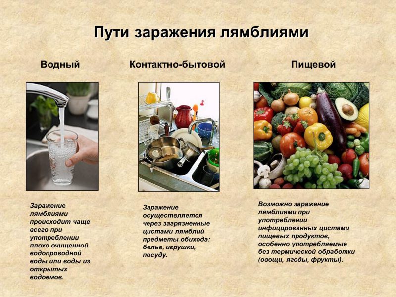 пути заражения