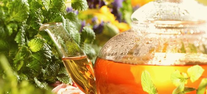 Аскаридоз: лечение народными средствами