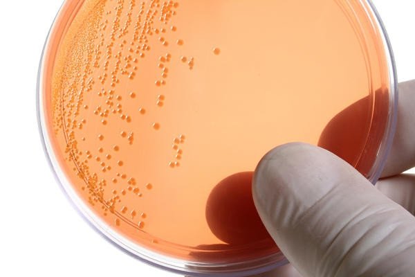 лечение хламидоза