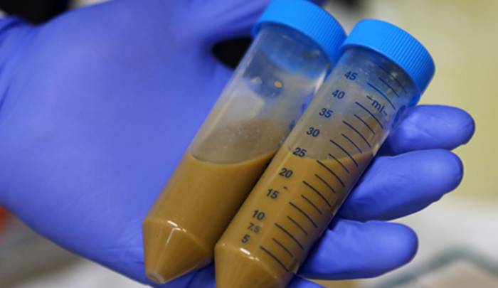 анализ кала