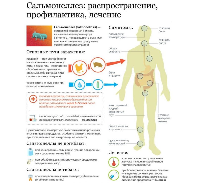 сальмонеллез пояснения
