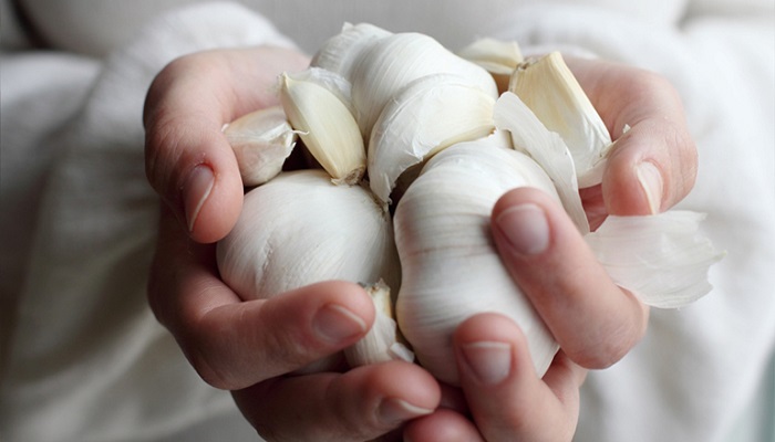 чеснок в руках