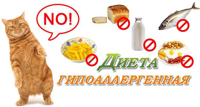 Гипоаллергенная диета