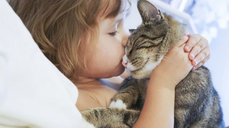 девочка с котом