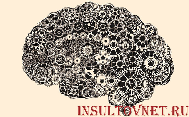 головной мозг