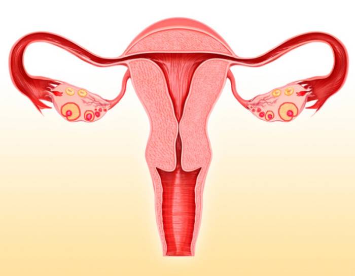 эрозией шейки матки