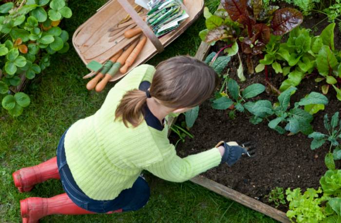 на огороде в перчатках