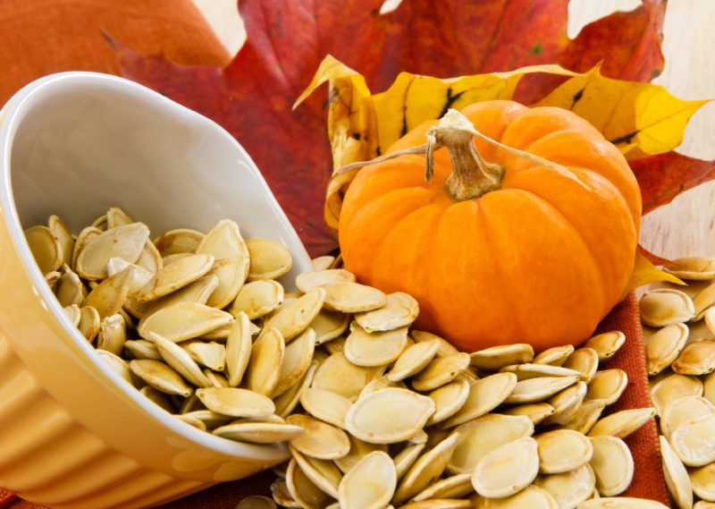 семечки тыквы