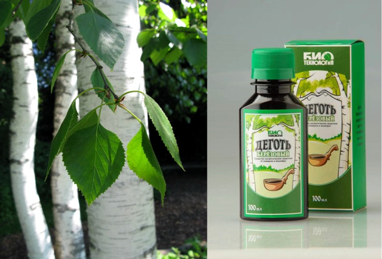 Березовый деготь