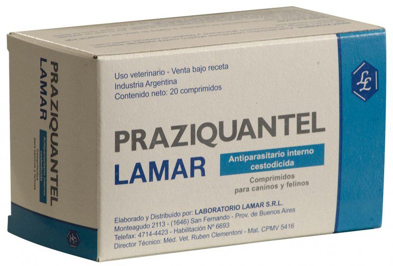 празиквантел