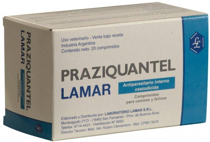 Празиквантел