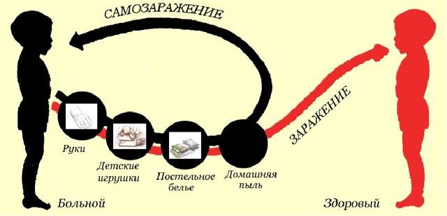 как передается