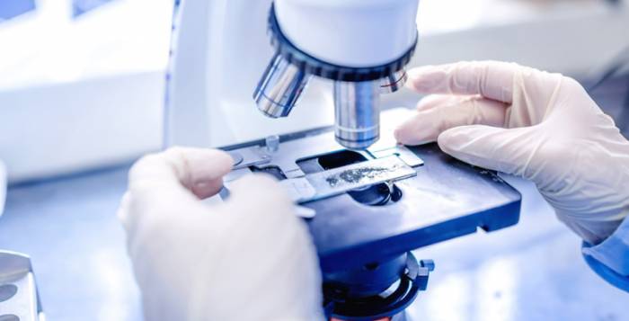 лабораторные исследования