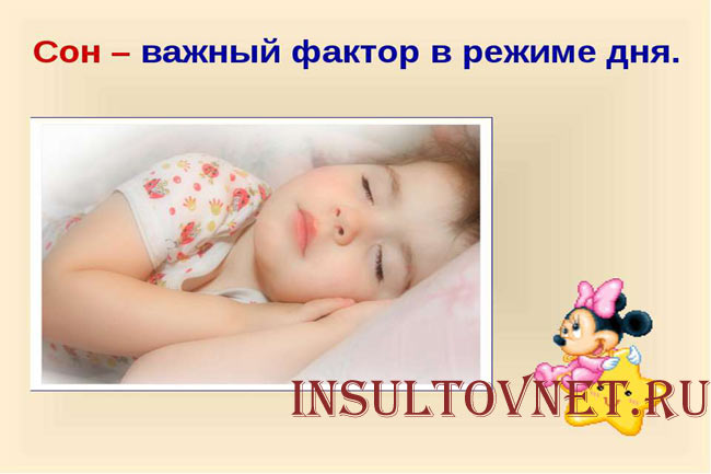 Распорядок дня