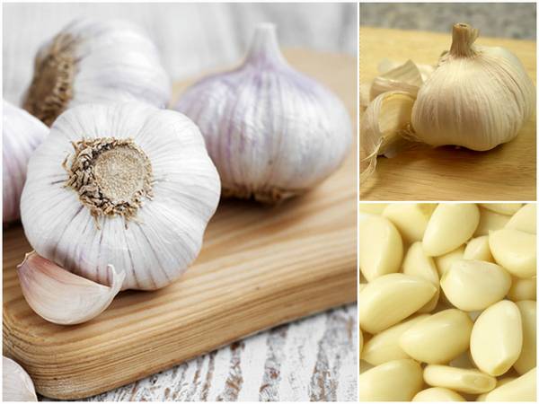 Чеснок от глистов