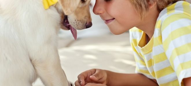 Лечение глистов у детей в домашних условиях