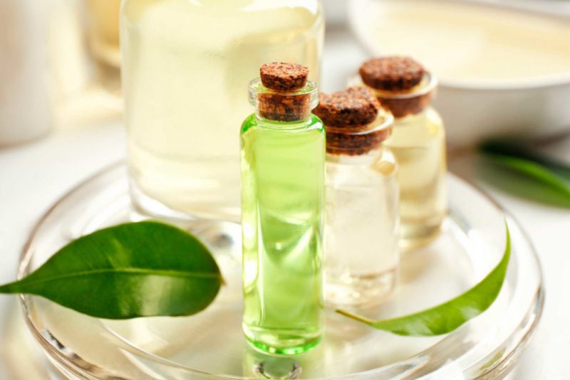 масло чайного дерева