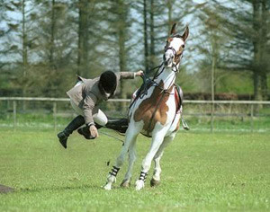 Падение с лошади Причиной перелома может быть падение с большой высоты